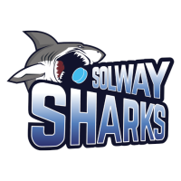 Former team badge icon