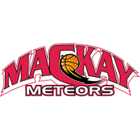 Former team badge icon