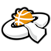 Former team badge icon