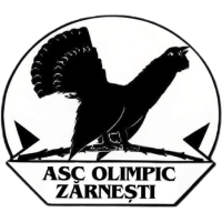 Team Badge