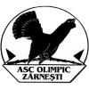 Olimpic Zărnești badge