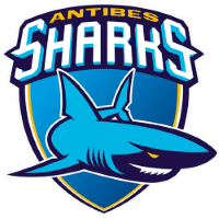 Former team badge icon