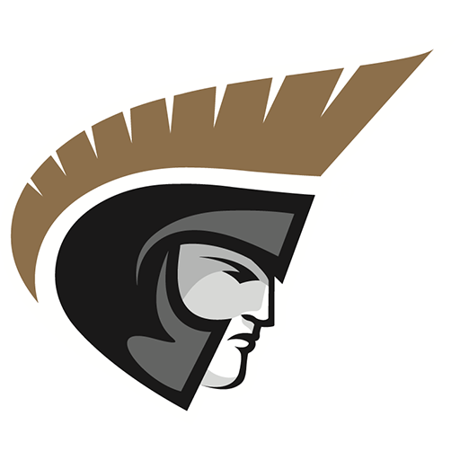 Team Badge icon