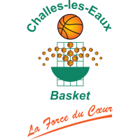 Former team badge icon