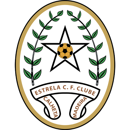 Team Badge icon