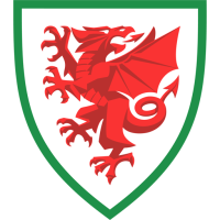 Former team badge icon