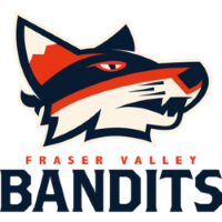 Former team badge icon