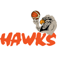 Team Badge