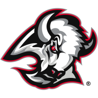 Team Badge