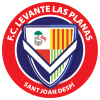 Former Badge