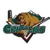 Former Badge