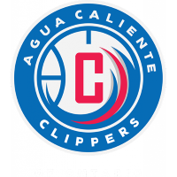 Team Badge