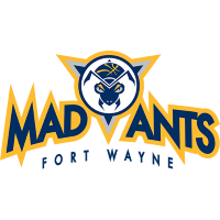 Team Badge