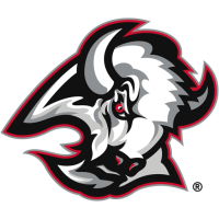 Team Badge