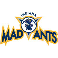 Team Badge