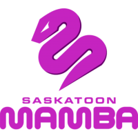 Team Badge