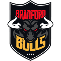 Team Badge