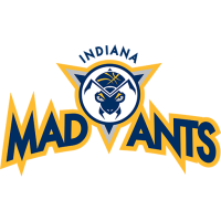 Team Badge