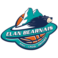 Team Badge