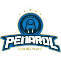 Team Badge