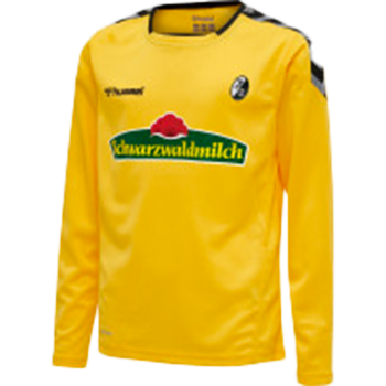 2020-2021 kit artwork