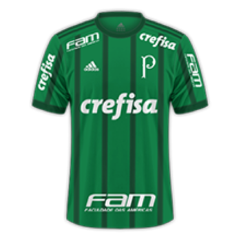 2017-2018 Home kit