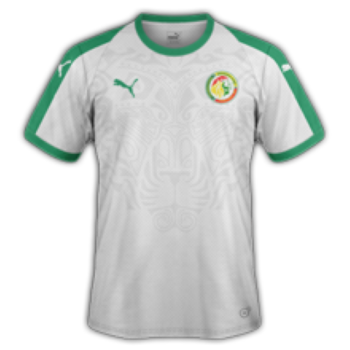 2018-2019 Home kit