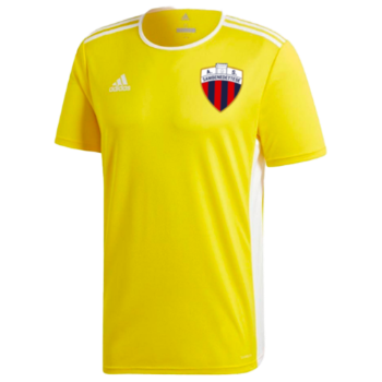 2021-2022 kit artwork