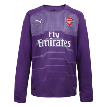 2018-2019 kit artwork