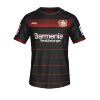 2016-2017 Home kit