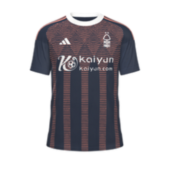 2023-2024 Third kit