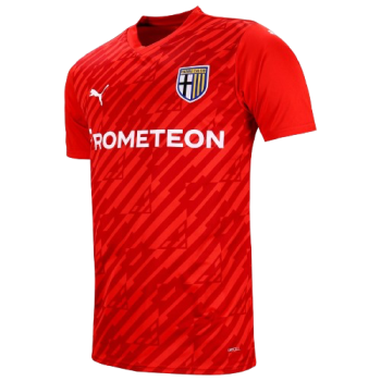 2024-2025 kit artwork