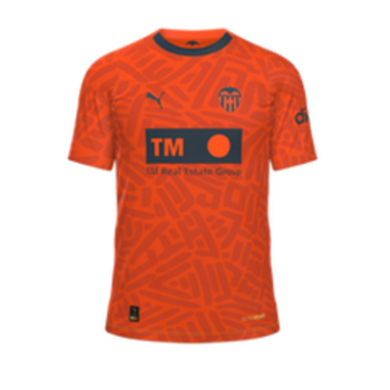 2023-2024 Third kit