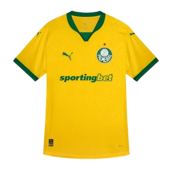 2025 Third kit