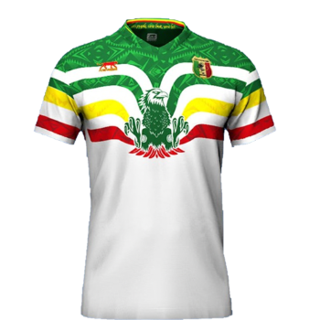 2021-2022 Away kit