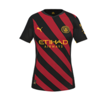 2022-2023 Away kit