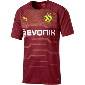 2018-2019 Third kit
