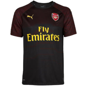 2018-2019 kit artwork