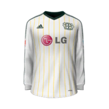 2013-2014 Third kit