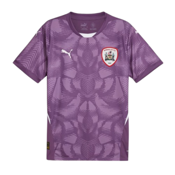 2024-2025 kit artwork
