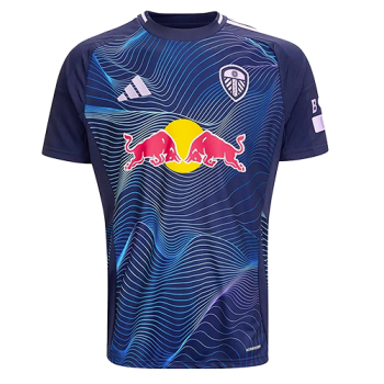 2024-2025 Third kit