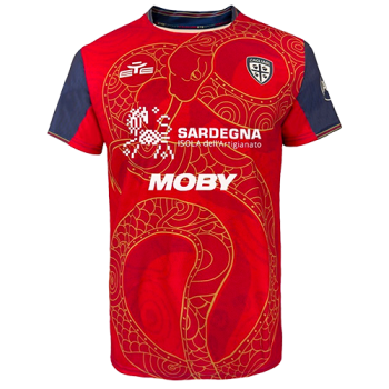 2024-2025 kit artwork