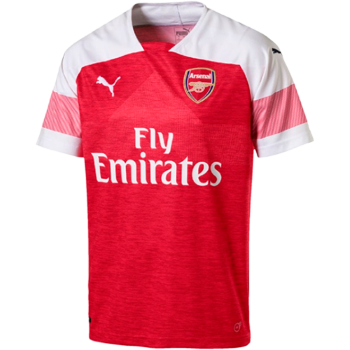 2018-2019 Home kit