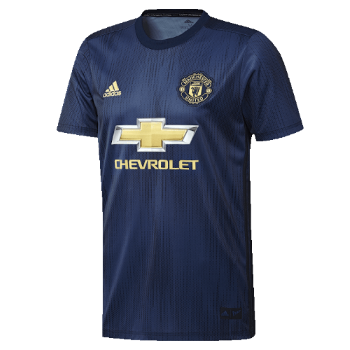2018-2019 Third kit
