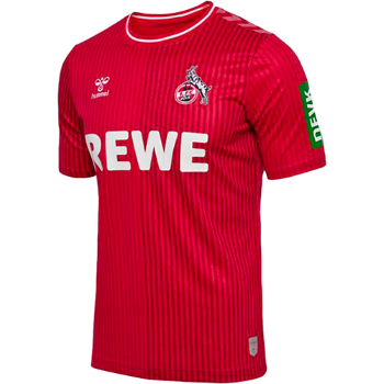 2023-2024 Away kit