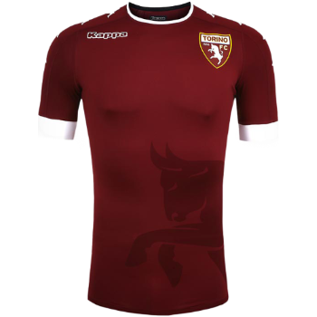 2016-2017 Home kit