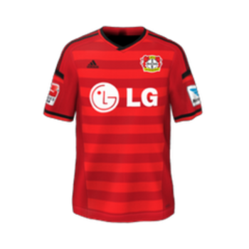 2014-2015 Home kit
