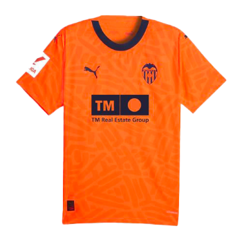 2023-2024 Third kit