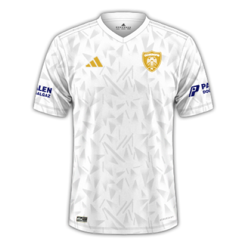 Erzurumspor 2nd kit