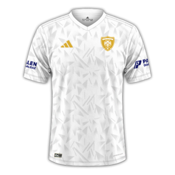 2025-2026 Away kit